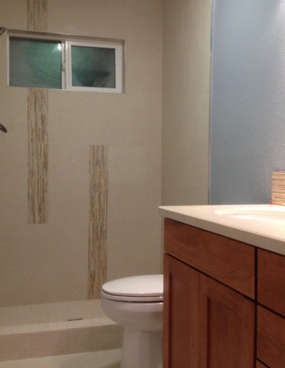 bathroom remodel - shower and vanity