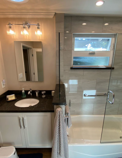 bathroom remodel - shower and vanity